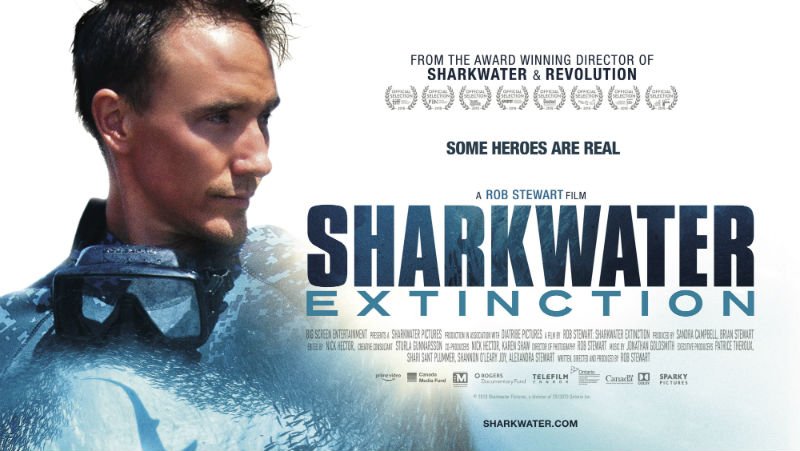 QFTBelfast's tweet photo. Another busy Saturday at QFT. Today:
#DementiaFriendly #BreakfastAtTiffanys 11am (Doors 10.30am)
@Cinemagic Shorts 1 - 3.30pm
#SharkwaterExtinction 1.30pm
@Japanfoundation #TonightAtTheMovies 3.30pm
#UsMovie 3.50pm/6.40pm/9.10pm
@AnImagines 6.20pm
@everybodyknows 8.25pm https://t.co/4wWsi3Ou1L