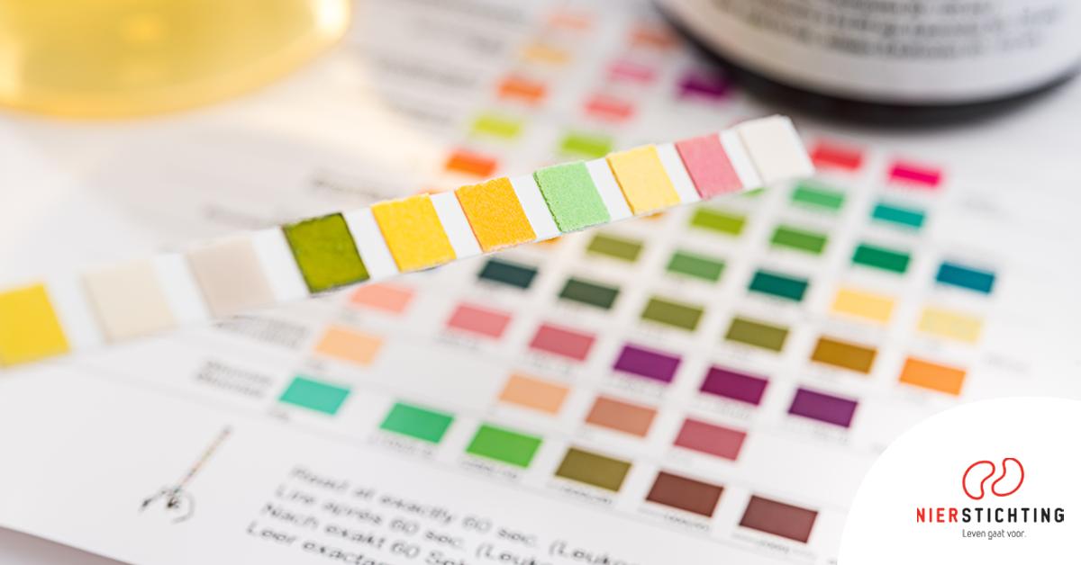 Nierstichting tweet media