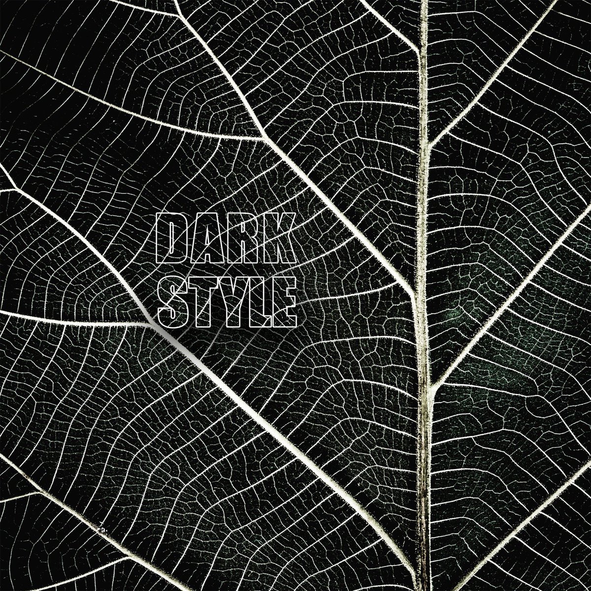 everpixapp's tweet photo. Style. Dark Style for you.🖤
⠀
#wallpaper #wallpapers #iphonewallpapers #iphonewallpaper #background #backgrounds #bestbackground #bestwallpaper #iphone_wallpaper #iphone_wallpapers #everpix #livewallpapers #livewallpaper #dark #style #darkside #coolbackgrounds #stylish https://t.co/WaMIuFvF84