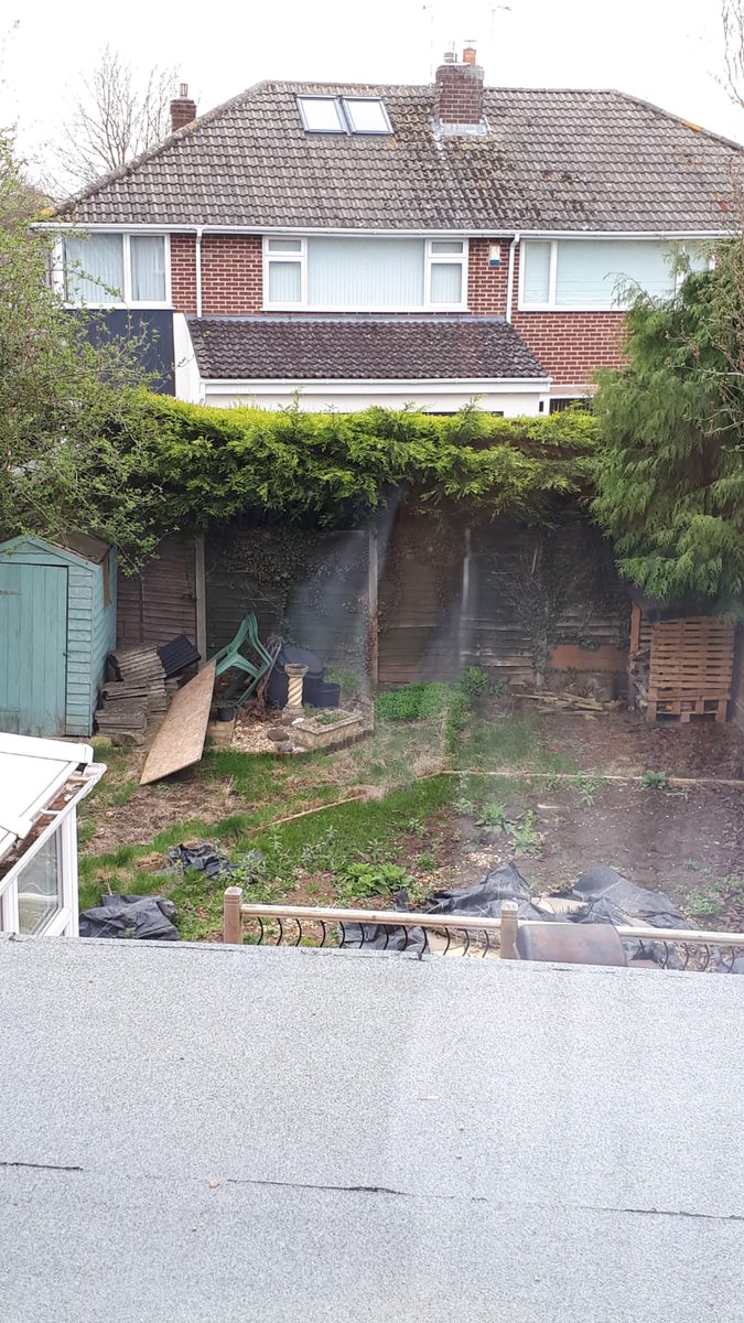 willdiness's tweet photo. @GWandShows @frostatwork Help! East facing 60's semi back garden in Kenilworth. Last part of our renovations, need some advise with shade loving plants for the right hand side, then plants for full sun on the left. https://t.co/Bsoj3CcbNG
