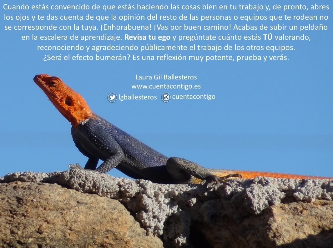lgballesteros's tweet photo. Cuando estás convencido de que estás haciendo las cosas bien en tu trabajo y, de pronto, abres los ojos y te das cuenta de que la opinión del resto de las personas o equipos que te rodean no se corresponde con la tuya. ¡Enhorabuena! ¡Vas por buen camino! 🥰. #cuentacontigo https://t.co/FazMICp5bw
