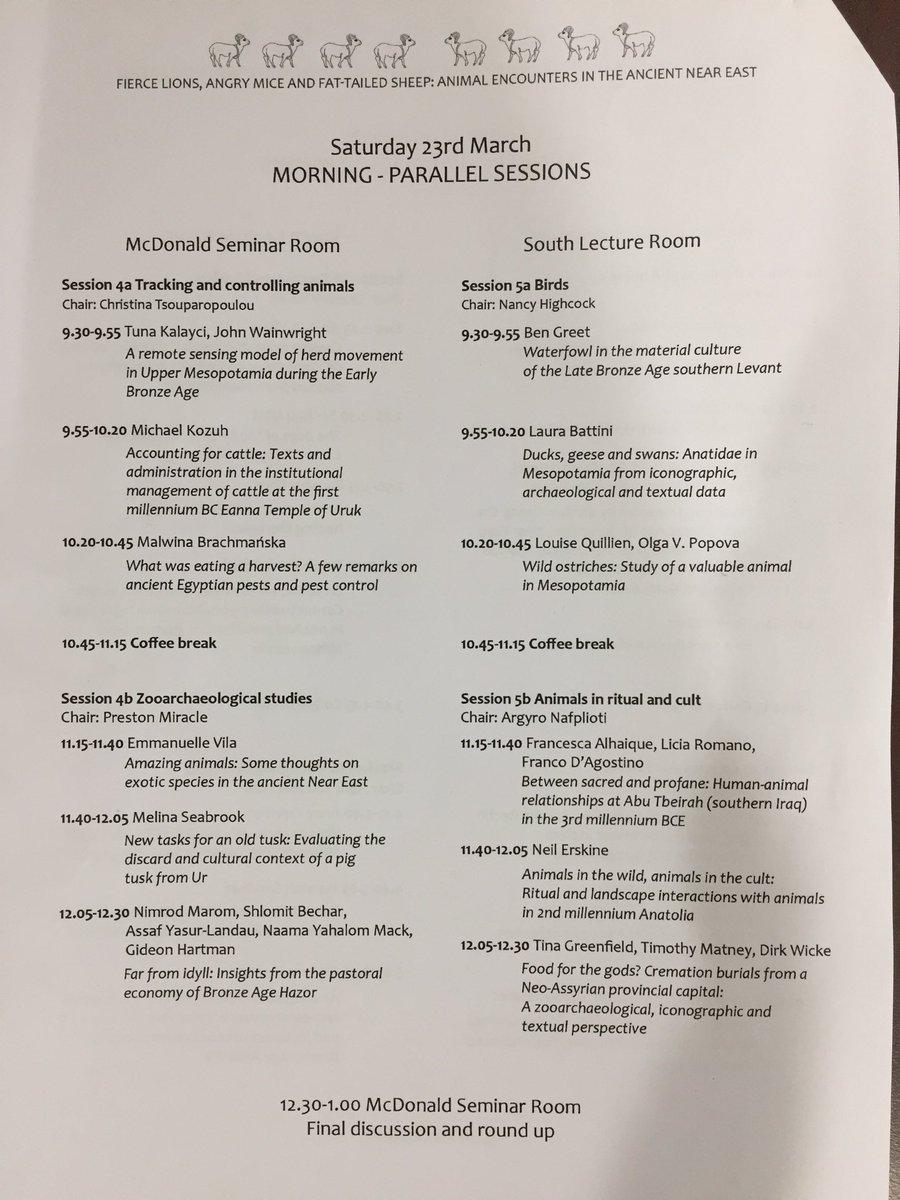 It’s day 2 of the ‘Fierce lions, angry mice and fat-tailed sheep’ conference. Which session to choose?? #aneAnimalEncounters <a href="/BISI1932/">BISI</a> <a href="/UCamArchaeology/">Cambridge Archaeology</a> @MSCActions <a href="/Augusta_McMahon/">Dr Augusta McMahon</a> <a href="/UCamArchaeology/">Cambridge Archaeology</a>