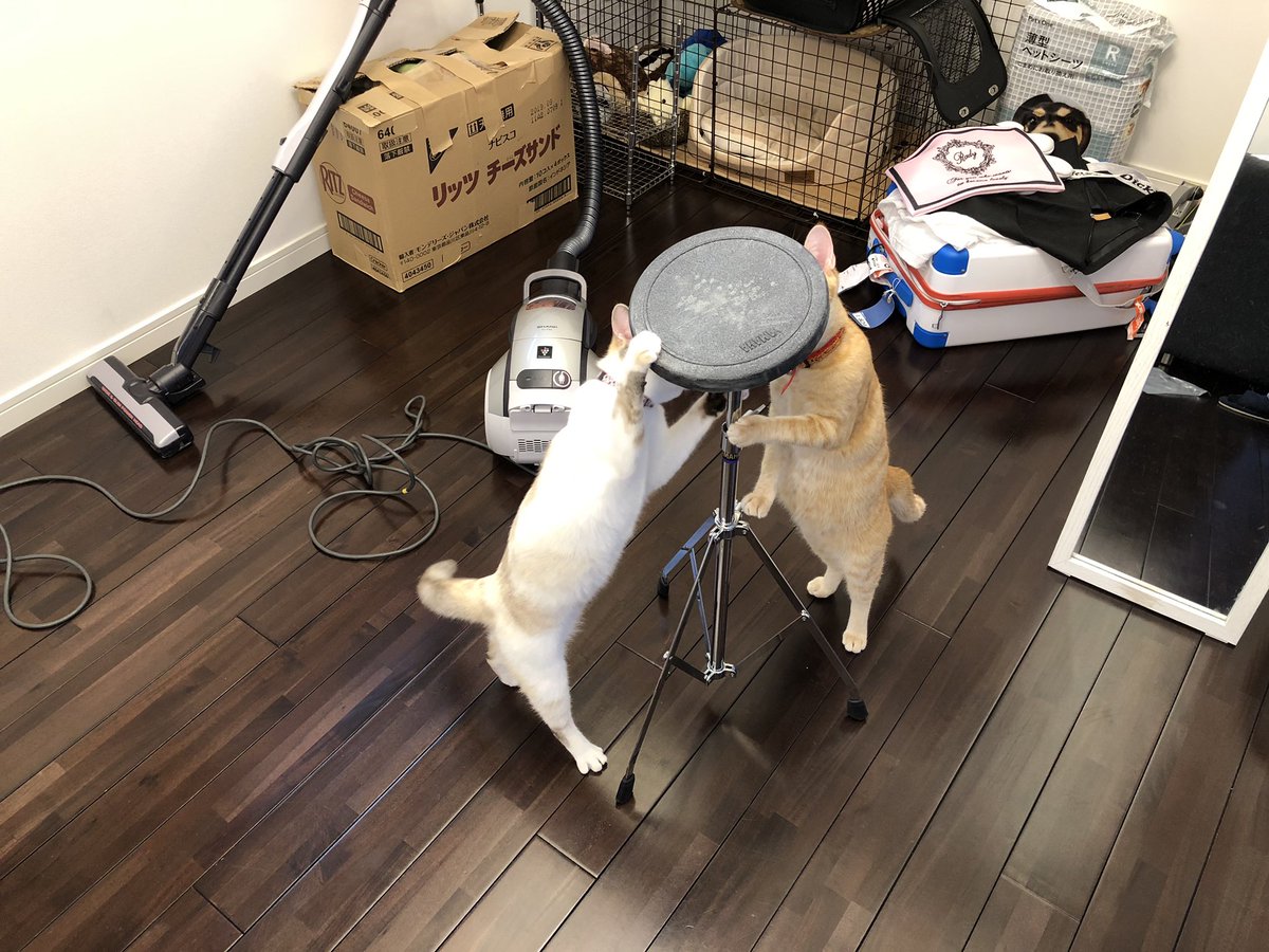 hajimecom's tweet photo. エセドラマーになりたいので買いました。
#mynewgear
#YAMAHA
#TS10S https://t.co/XPzvy9py9L