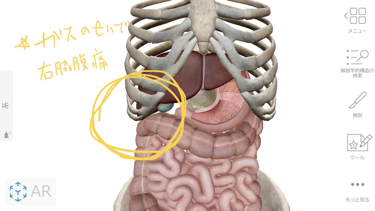 右 あばら の 下 が 痛い