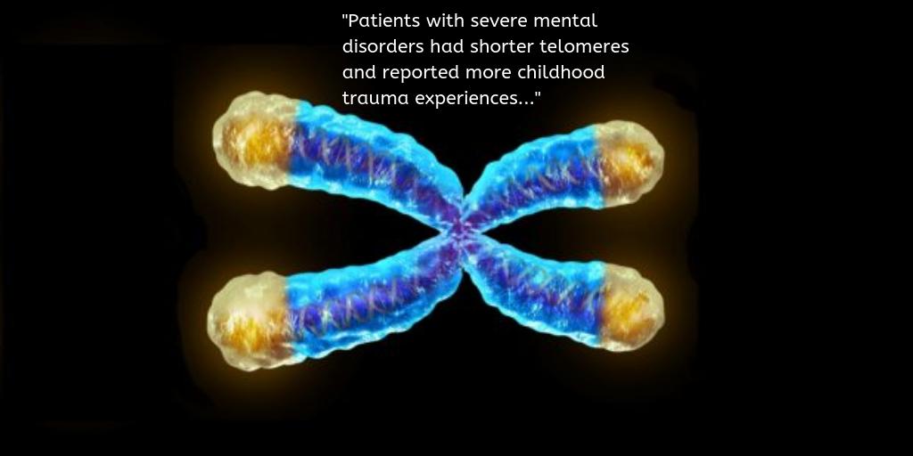 BioMedCentral's tweet image. Childhood trauma in patients with severe mental disorders linked to shorter telomeres: bit.ly/2Ub3ELO
