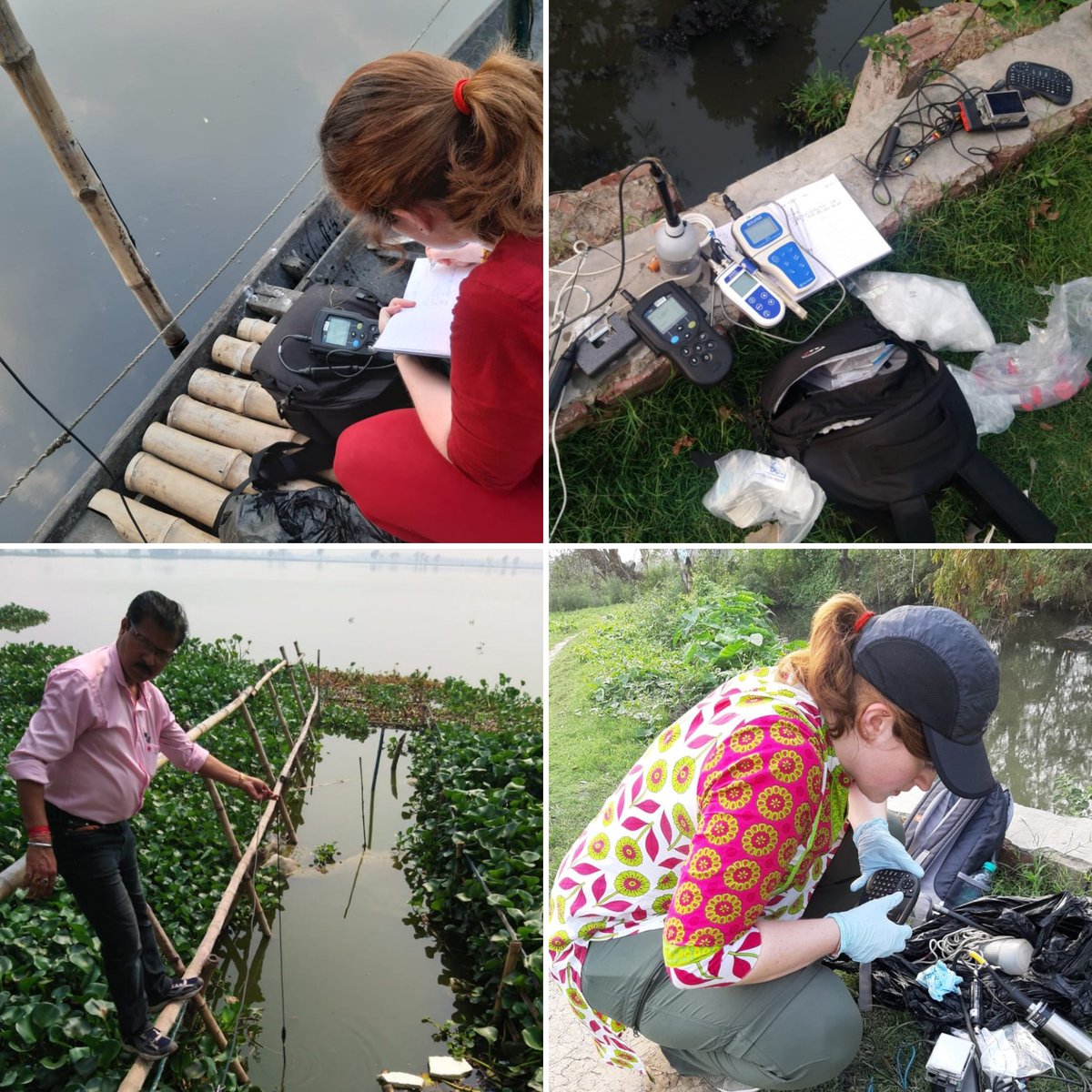 WaterQualityTE2's tweet photo. Over the past few weeks we have collected data, samples and tested the V-Lux sensor (@Chelsea_CTG) in the beautiful East Kolkata wetlands. Great testing bed for the sensor in turbid waters and waters with high algal load @bose_institute @UWEBristol @NERCscience @NewtonFund https://t.co/yqikLP0GYx