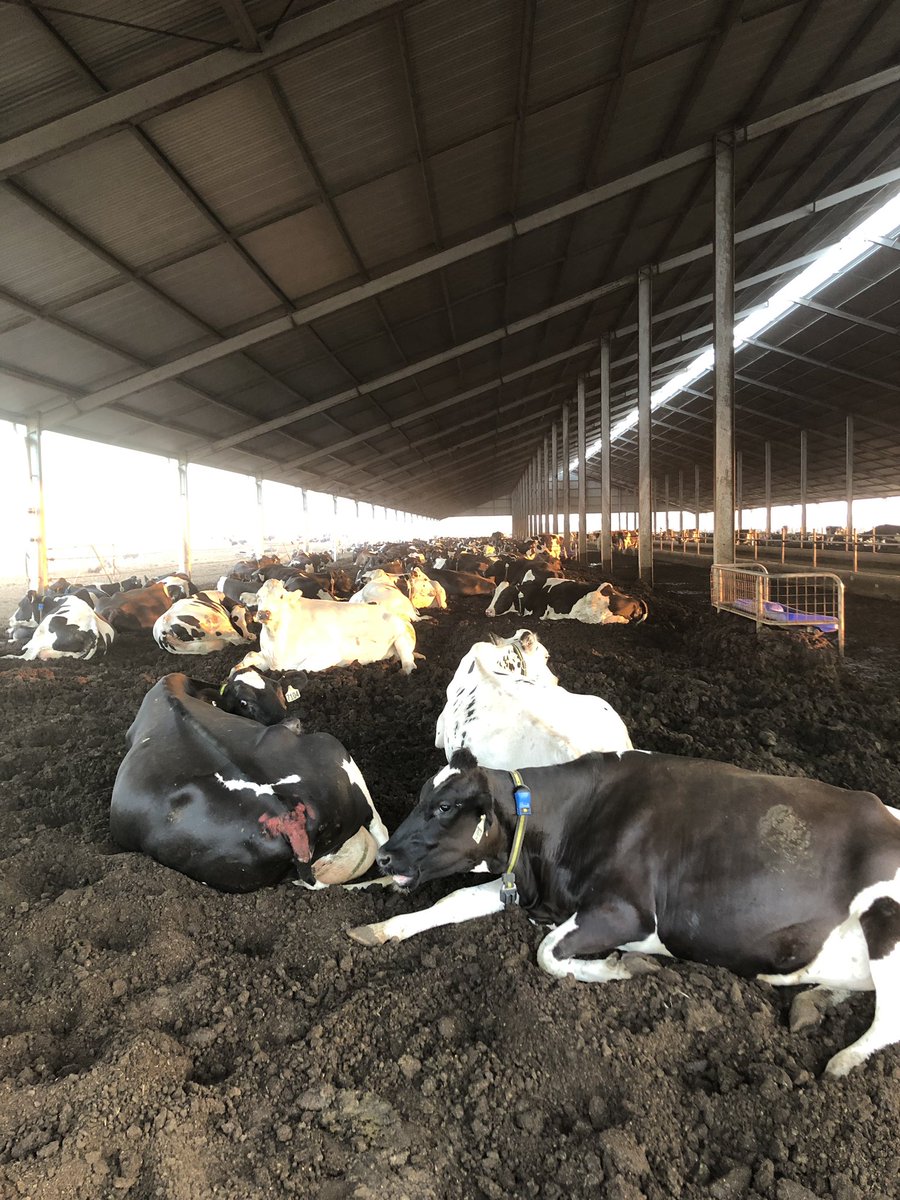 tom acocks tweet media