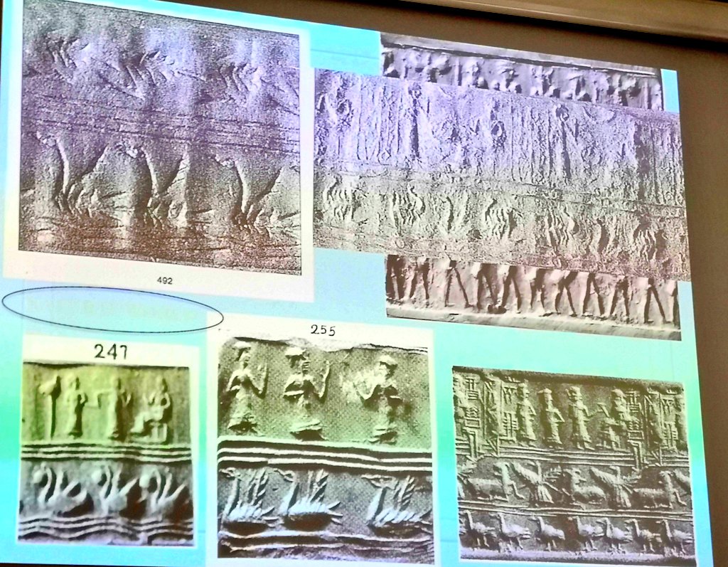 Anatidae floating in the Marshes, according to Laura Battini. #aneAnimalEncounters <a href="/tspiritedhorse/">Lærke Recht</a> <a href="/Augusta_McMahon/">Dr Augusta McMahon</a> <a href="/UCamArchaeology/">Cambridge Archaeology</a>