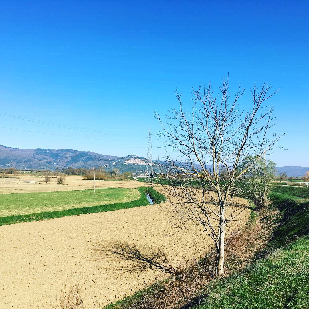 Discover new places for our Guests
#Tuscany #valdichianatoscana #biketouring <a href="/VilladiPiazzano/">Villa di Piazzano</a> thanks to <a href="/luciainfelici/">fitnesstuscany</a>