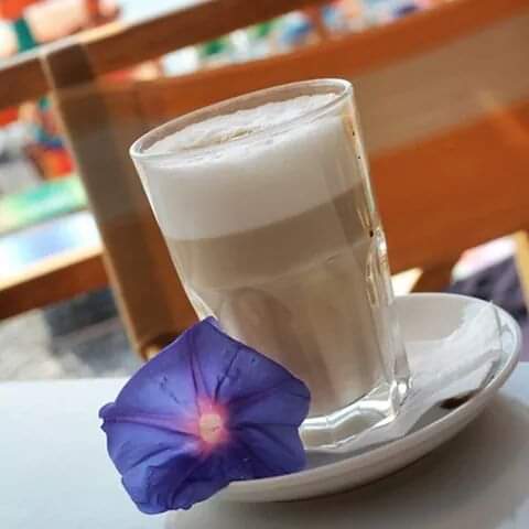 SunsetNeon1's tweet photo. Te desejo paz e tudo que nela couber!
Bom dia ! 🙏🌹💚🌺 https://t.co/gujpzDns35