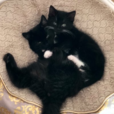 Danielle_S_85's tweet photo. #NewProfilePic https://t.co/E8CbIHqsp9