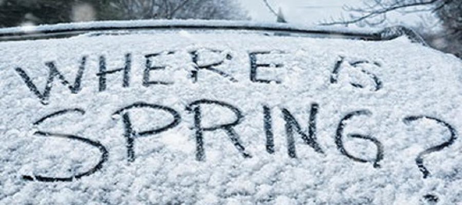 LindaLarsenRI's tweet photo. Morning! Headed off to the #RI Technology Student Association @NationalTSA competition hosted at Scituate High School @SpartanPrideRI. Hoping to find Spring there! @Mr_Hassell can you help with that? #STEMRI https://t.co/PMyNbpe40p