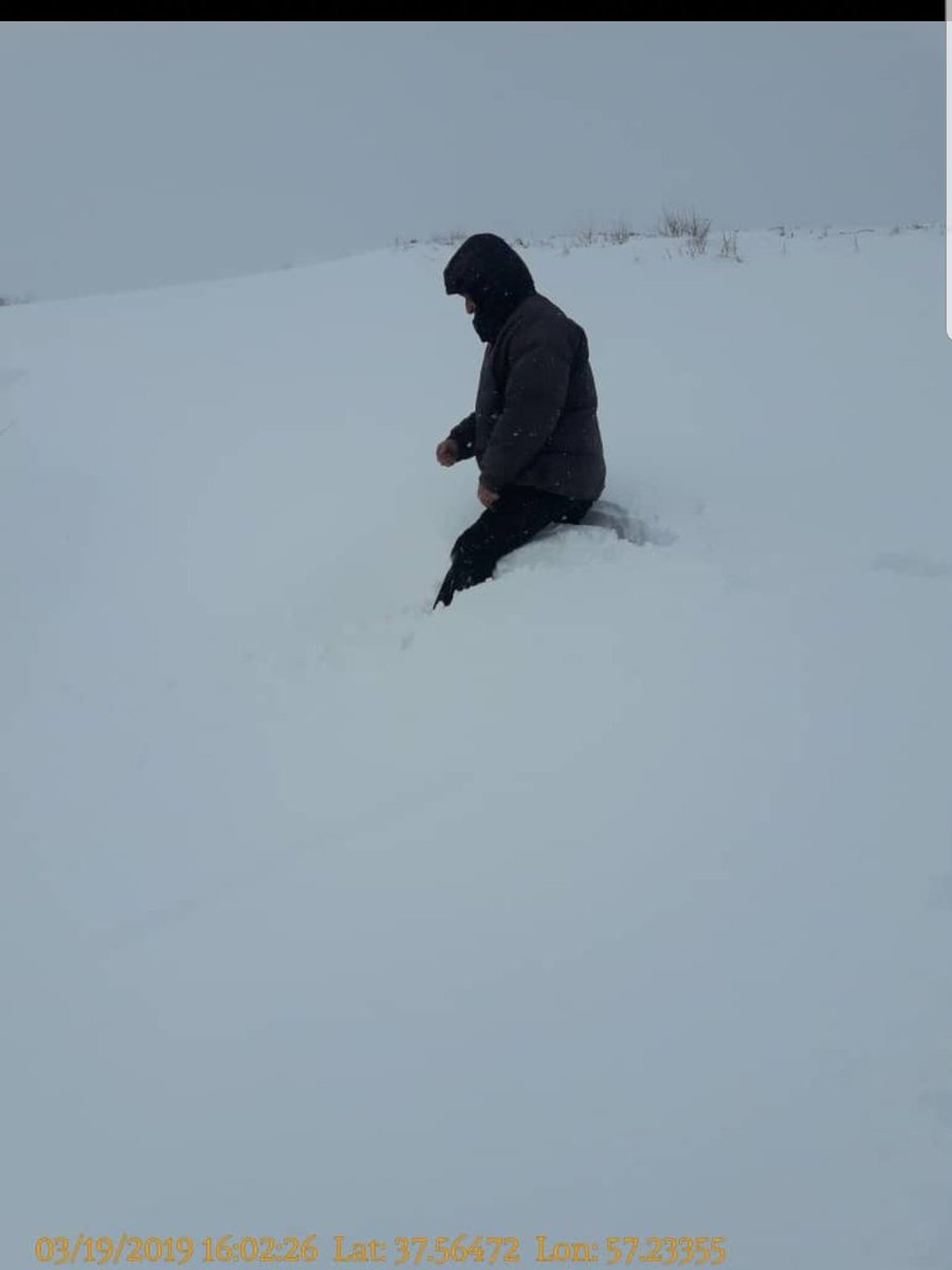 Rami_farah's tweet photo. @b_abbasiarand Team working under severe and hard conditions to restore the service back for our valued customers. https://t.co/R17SCZQDGH