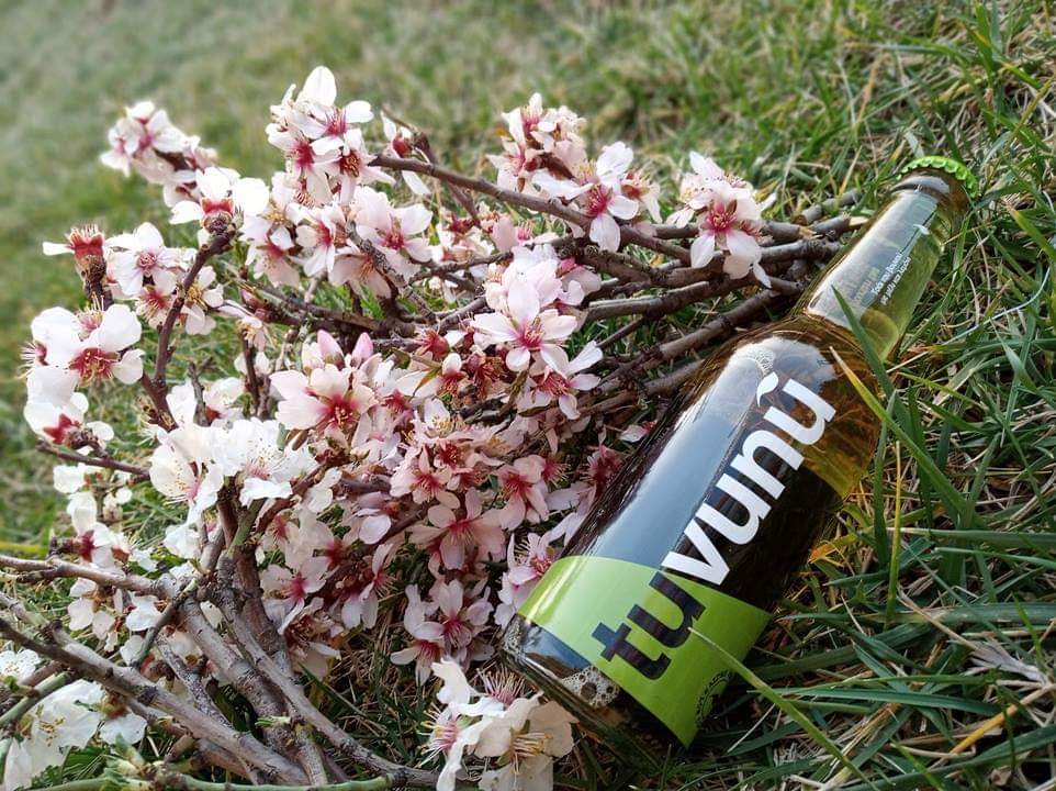 Spring is here!!!
Mood change is required!! 😉
🛒🛒shop.tuvunu.com🛒🛒
#showmethemagictuvunu #tuvunumagic #sideritis #greekmountaintea #betterthanwater #herbal #healthyliving #lemons #honey #healthy #healthychoices #healthydiet #healthymind #healthysnack #healthydrink