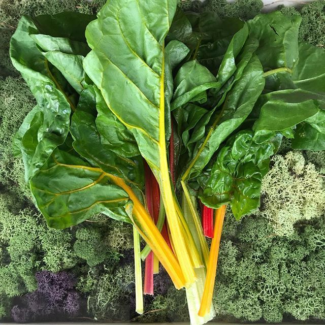 Thanks @tomfrost73 for delivering colour. This rainbow has cheered us all up. 
#plantbased #eatlocal #spring