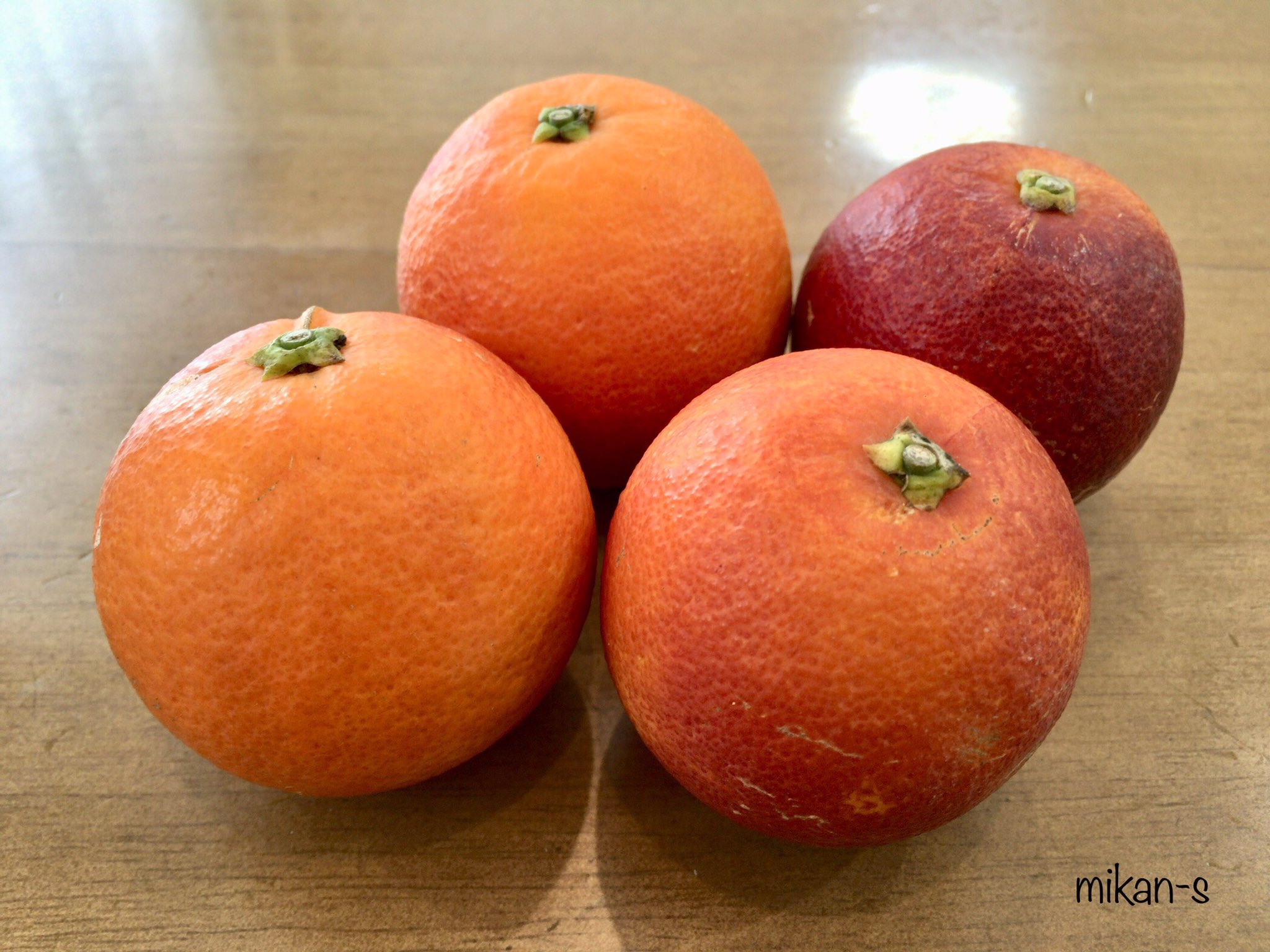 Mikan S 今日も1日お疲れさまでした 食後に 愛媛県産 ブラッドオレンジ モロ を頂きました 希少な国産は今が旬ですね 外果皮の独特な香りと濃赤紫色の果肉に衝撃を受けますが爽やかな酸味と甘さで美味しい ᵔᴥᵔ 柑橘 オレンジ 早生品種