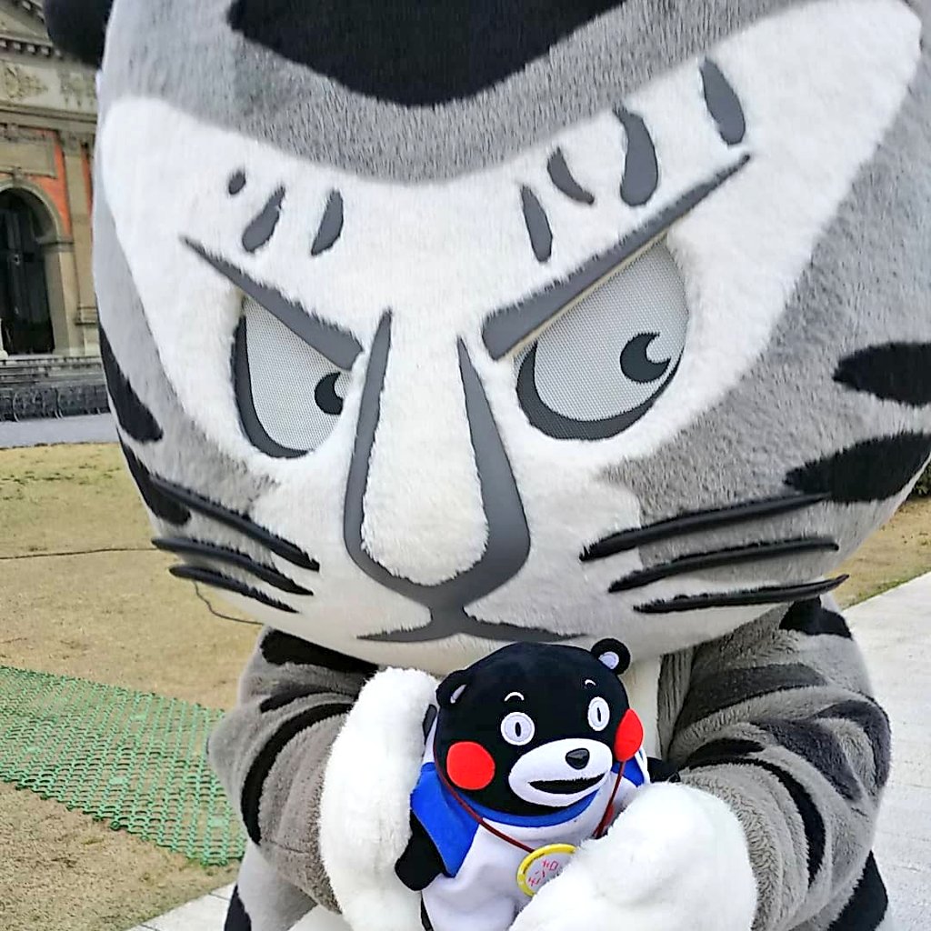 kichimon_mon's tweet photo. 初めて #トラりん に会って来たモン!
あまりの可愛さにトラりんをお迎えしたよ(*≧∀≦*)
今日は寒かったからマフラーあげるね♪
緊張してるのかな?
よろしくだモン♪
#京都国立博物館 #torarin #明治古都館 #片山東熊 #京都 #kyouto #そうだ京都行こう #くまモン #かわいい #ゆるキャラ https://t.co/hcOy75frIj