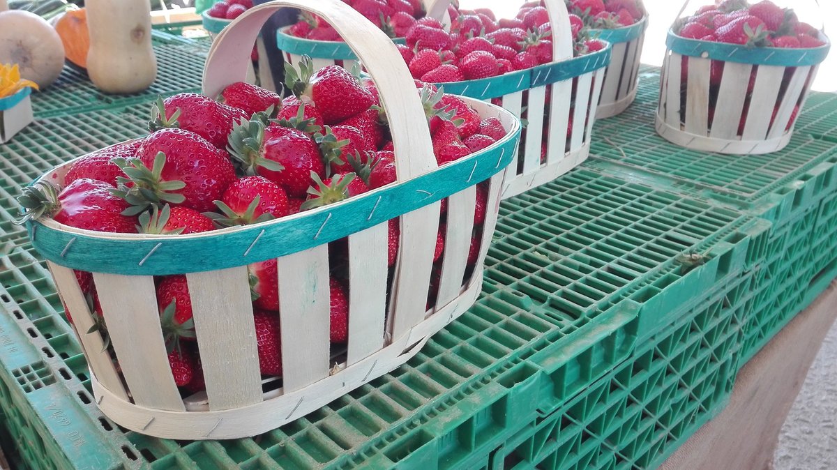 CortesiClaude's tweet photo. Ce 23 mars au Forum des Assistantes Maternelles et sur le marché des Producteurs, Salon de Provence.
#salondeprovence https://t.co/c6adNF8CUN
