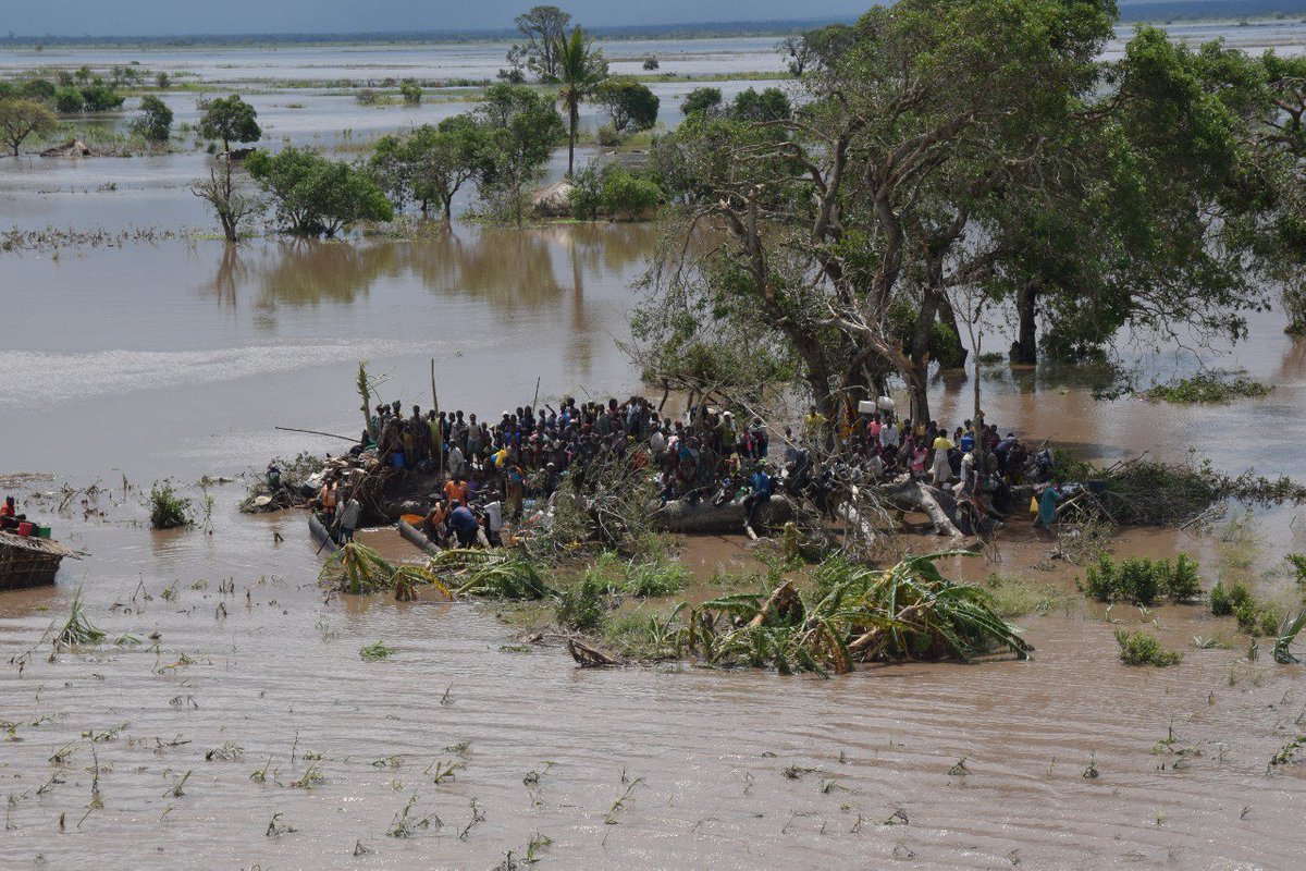 Morgen in je kerk collecteren voor noodhulp in zuidelijk Afrika? Heel graag! Op onze website vind je de collectepresentatie van het Christelijk Noodhulpcluster: tear.nl/verhalen-en-ni… #noodhulp #mozambique #zimbabwe #malawi #christelijknoodhulpcluster