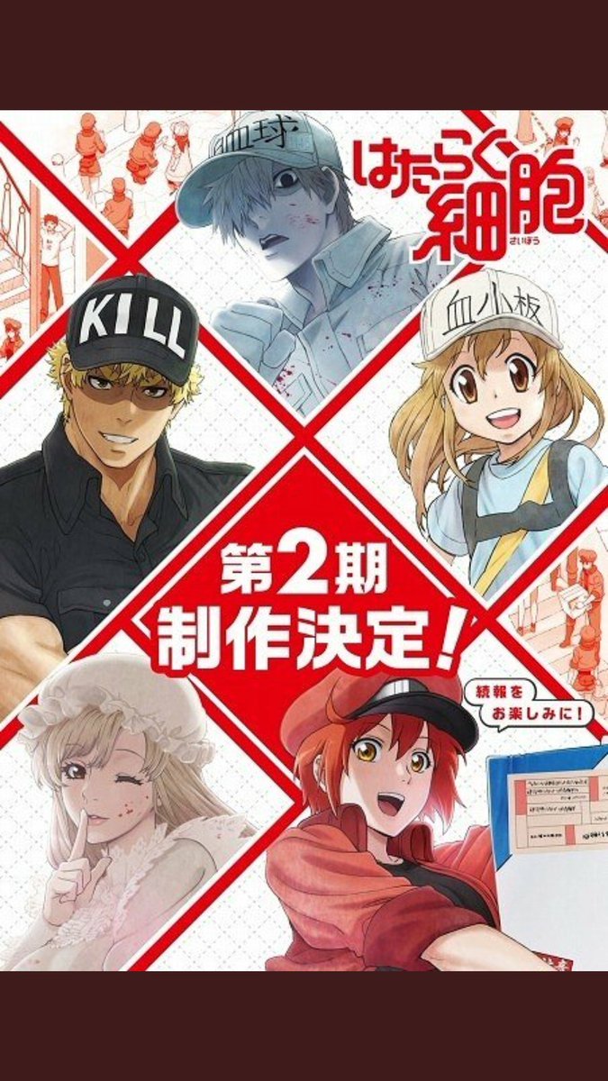 優 にわかアニオタ きたぁぁぁぁぁぁぁぁぁ はたらく細胞アニメ二期決定 はたらく細胞 はたらく細胞2期 いいねした人全員フォローする Rtした人全員フォローする はたらく細胞好きと繋がりたい 拡散希望