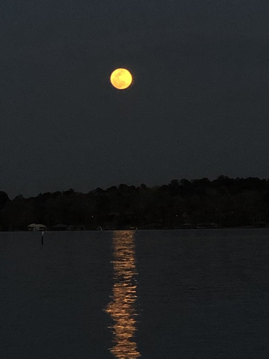 TulaneKat1's tweet photo. @TeamGleason Happy belated birthday! I was enjoying The Mooooooooon! too 😊 https://t.co/eHpHVJorhL