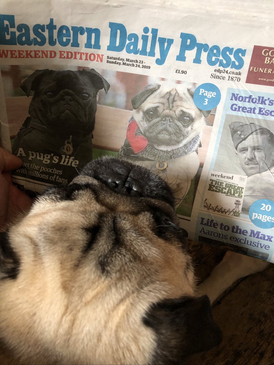 AlbertThePug's tweet photo. Wow! We’re delighted to be in the @EDP24 talking about @TheFeedCIC 
Thank you to the lovely team @edpbusiness especially @CarolineJCulot for looking after us and making us feel so welcome 😊 #pugswithpurpose https://t.co/3sHRsWnjjs
