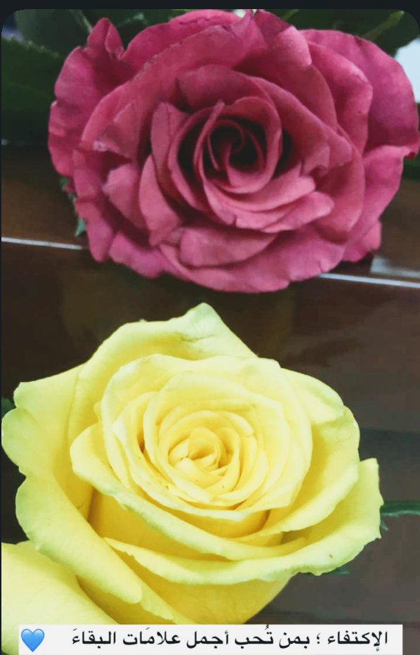 MASlp1's tweet image. 