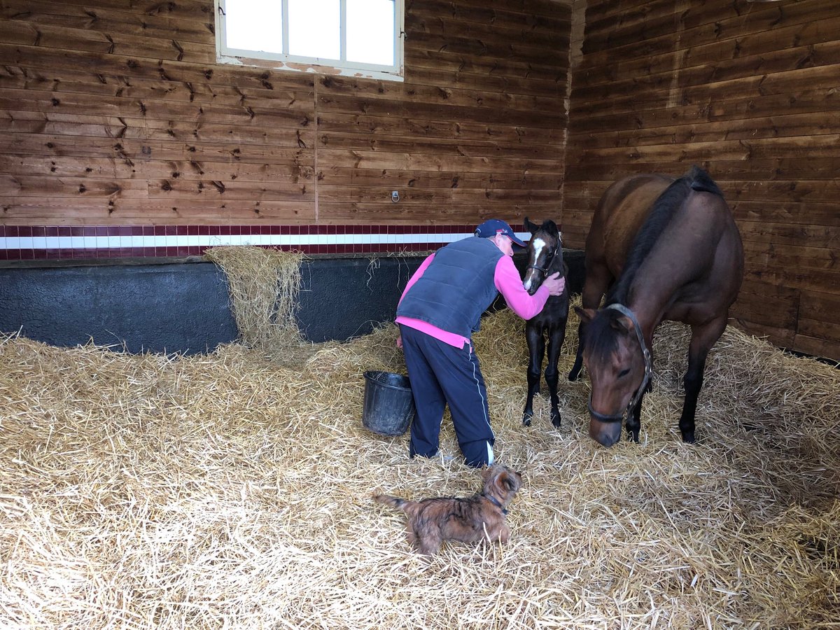 Redgatebldstk's tweet photo. Mother in laws turn today, moonlighting from working hard ⁦@GayKelleway⁩ racing.#oldschool https://t.co/LSm7aonFa3