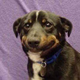 mcuddevil's tweet image. just kids i’m just gon employ my broke ass