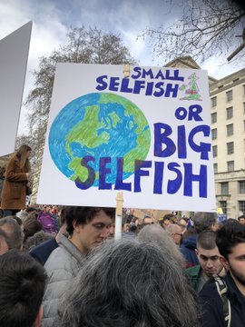 Ver imagen en Twitter