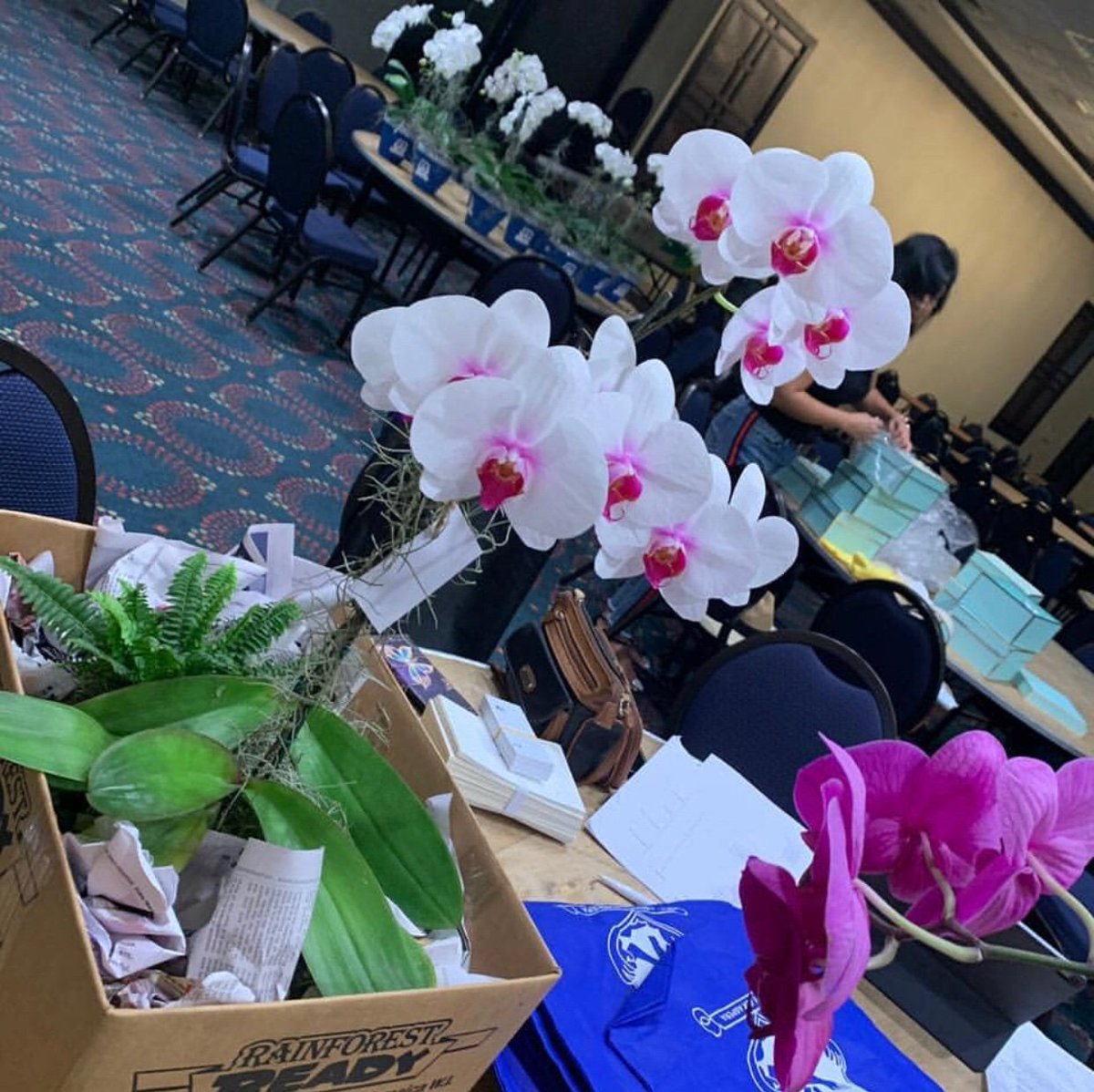 We are getting ready 😍