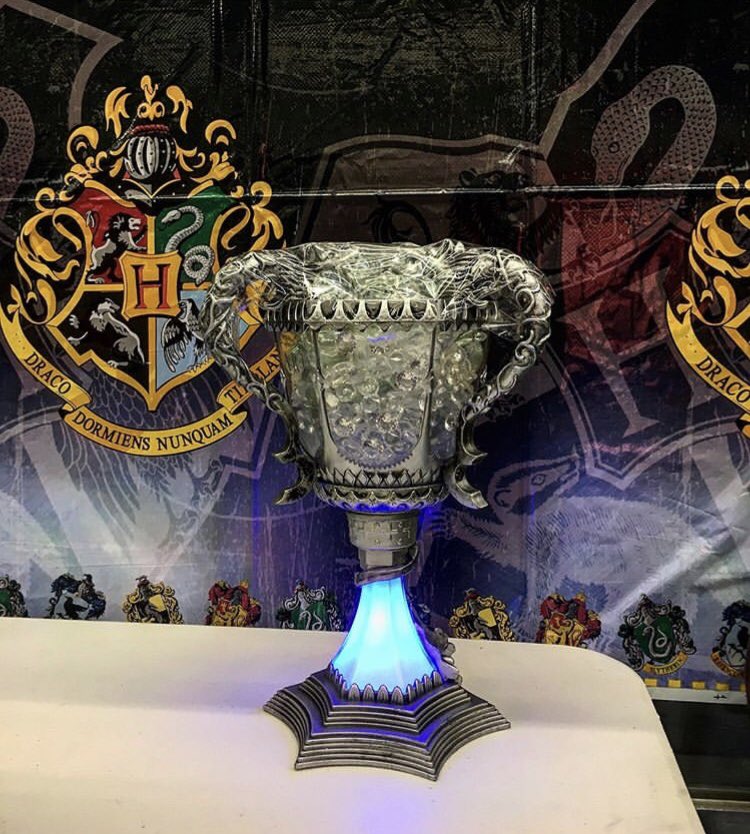 raph585's tweet image. There is an Harry Potter themed competition this weekend in Canada and i’m living for it 😍⚡️🇨🇦