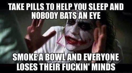The Stoner Nation™ (@ourstonernation) on Twitter photo 
