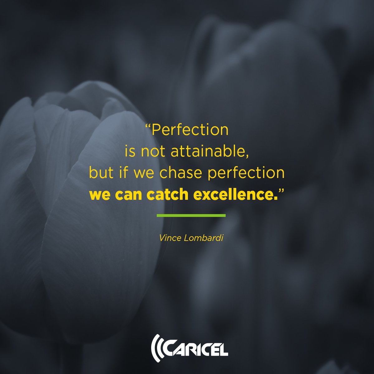 CaricelJam's tweet photo. How are you chasing perfection today? #Motivation #CaricelCares #CaricelJamaica #Caricel #Broadband https://t.co/nGs1ZCb2fh