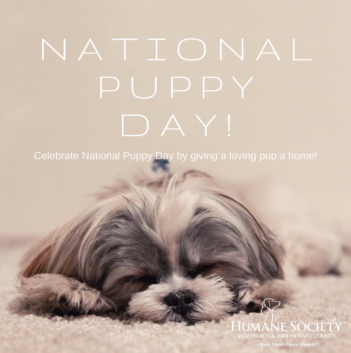 hsvb's tweet image. Happy National Puppy Day!