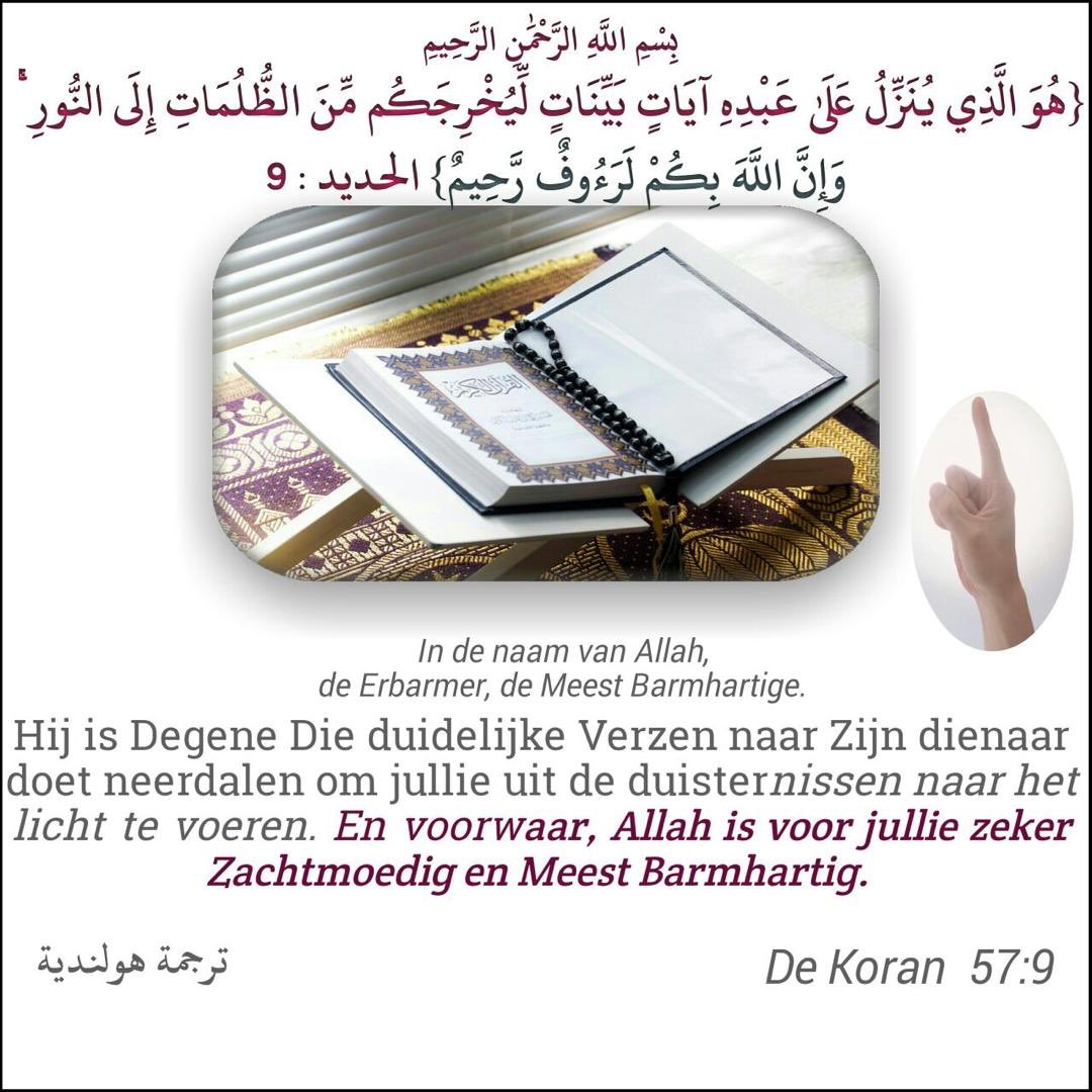 rahaf2019ea's tweet photo. #psvbat Pachuca Wilders #denieuwelekkerbek
Marokko Michael Jackson #laatop1
Europeanen #BRINGBACKGREEF
#BLT2019
#islam https://t.co/RchloVSP67