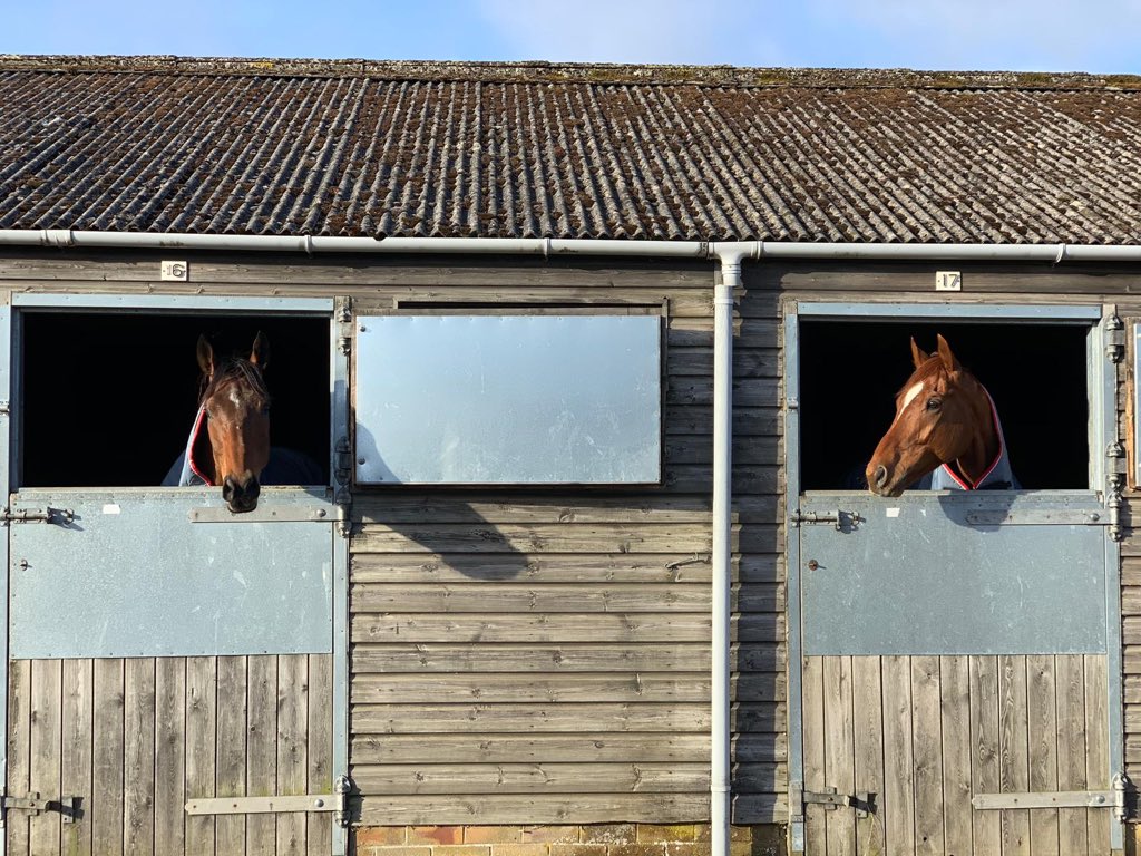 2 runners today @KelsoRacecourse CHAMPAGNE CITY runs in the 2:25 Handicap Hurdle 2m for his owner, Roger Brookhouse🏇 ROCKLANDER runs in the 3:35 Handicap Hurdle 3m1f for his owners, Messrs. O’Donohoe, Cavanagh and Sharon Nelson🏇 @JohnnyBurke2 rides both runners🏇