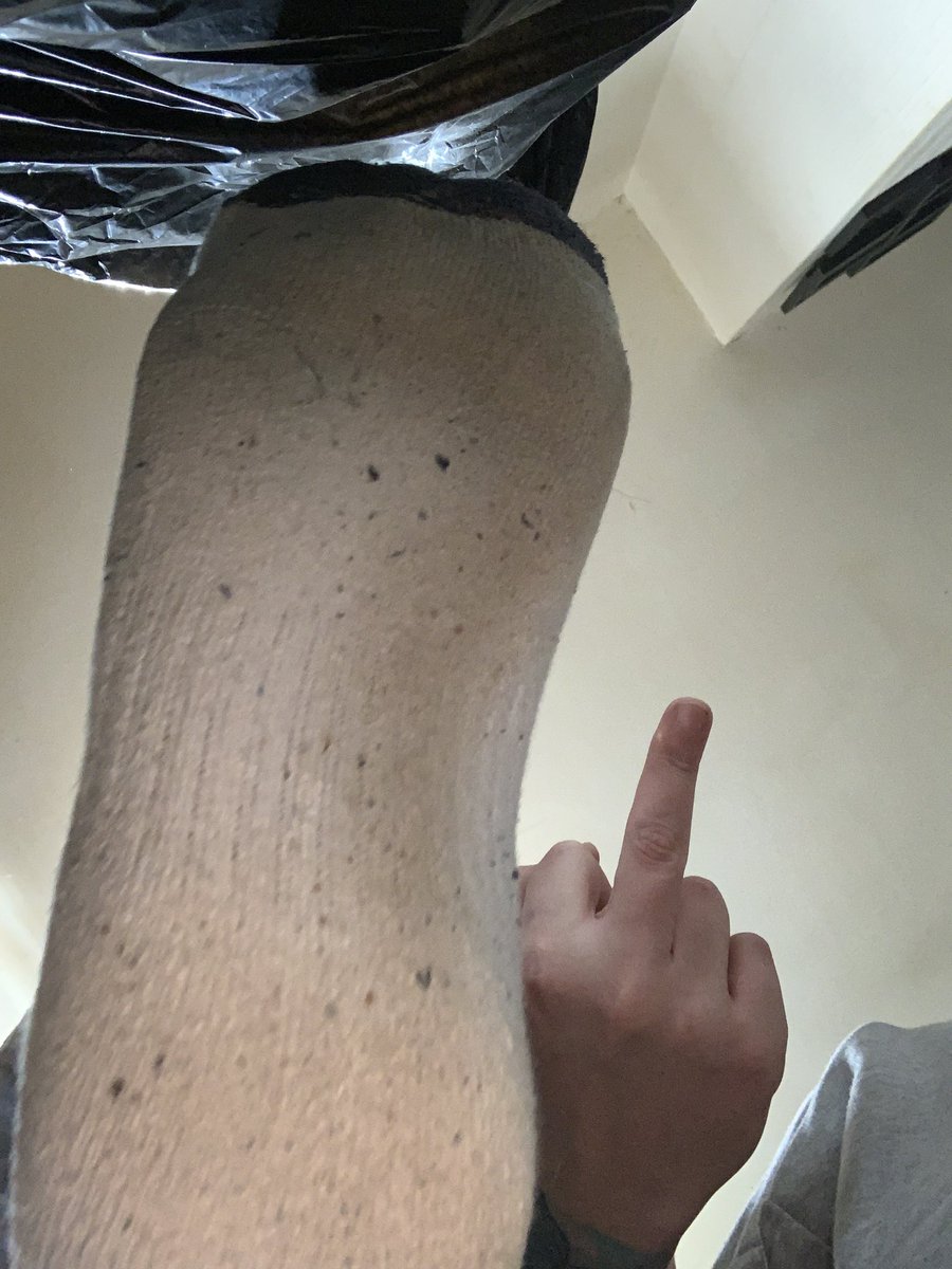 hmaster_ca's tweet photo. Morning faggots and pigs who’s ready to pay up to get their nose in these #cashpiggy #cashfag #findom https://t.co/u03cIXKIi2