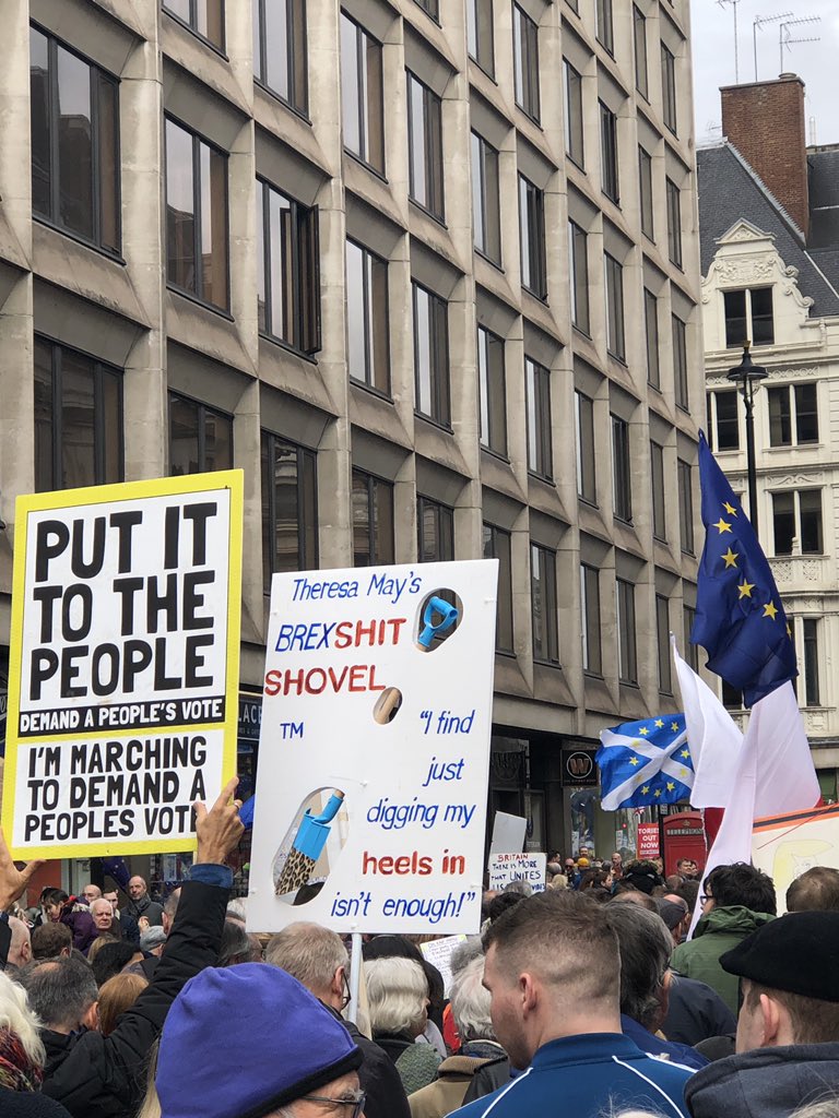 TheVeryRealAlex's tweet photo. A lot of effort gone into this one #SignWatch #PeoplesVoteMarch https://t.co/ZD8gWAX7qk