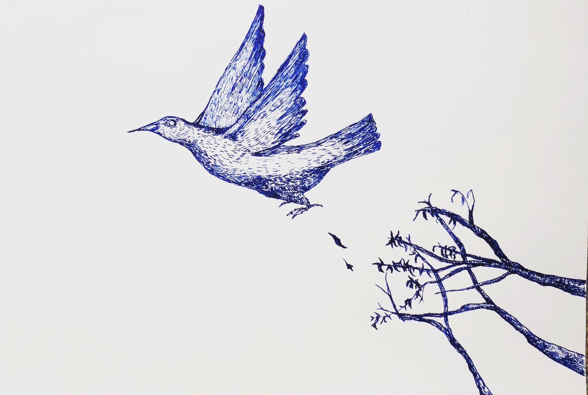 Yuko Takayabu Artworks On Twitter Fly High Fly Bird