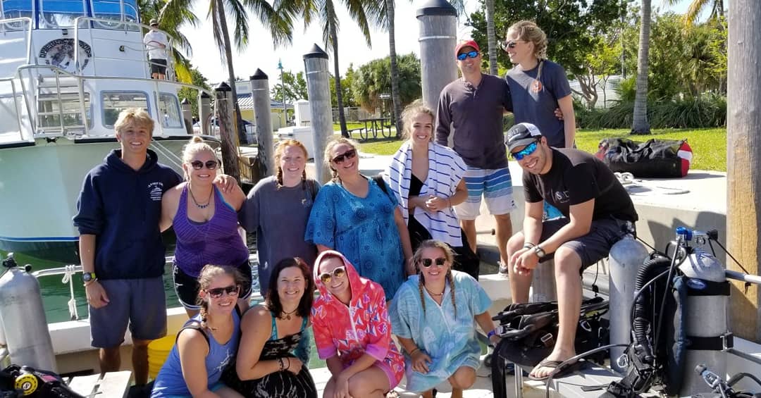Diver's Paradise KB tweet media