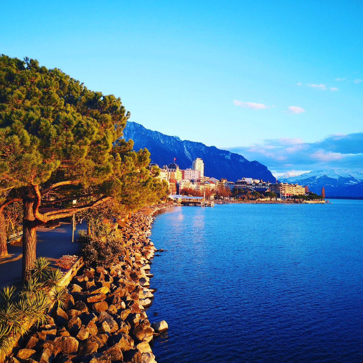 Lake shore promenade invitation for a peaceful week-end 🌴🌾🌿 #inlovewithswitzerland 🇨🇭 #montreuxRiviera #swissnature #lacleman #lakegeneva #switzerland