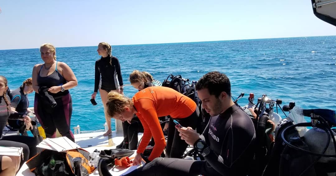 Diver's Paradise KB tweet media