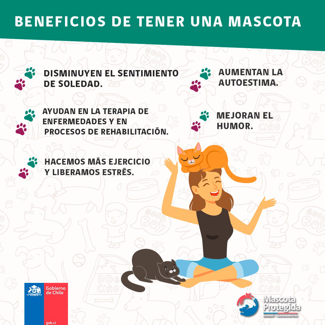 MascotaGob's tweet photo. ¿Sabías que tener una mascota trae beneficios para la salud de las personas? 👀❤️ https://t.co/pvbXF0Asbm