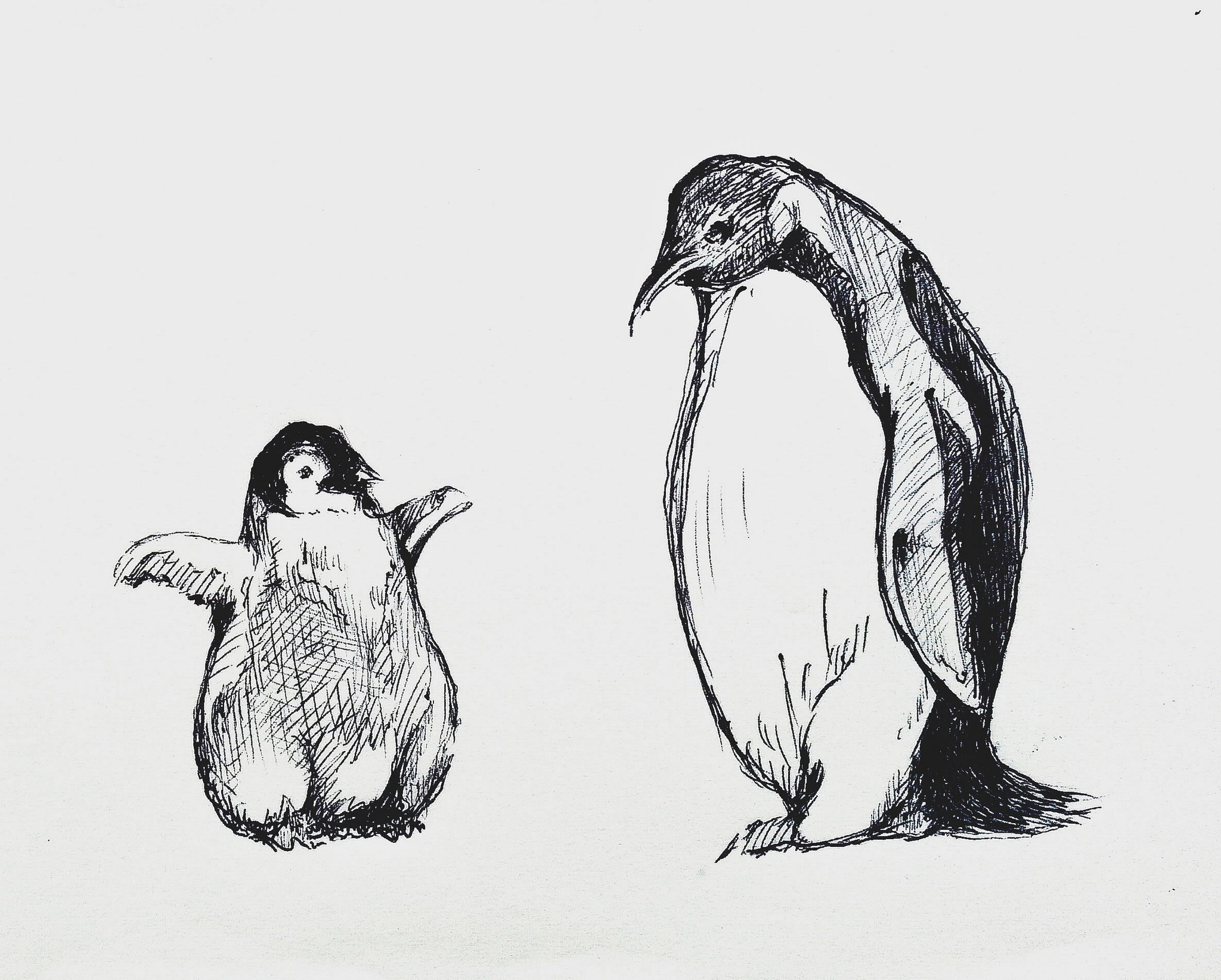 原画 デザイン画 ペンギン 言葉の棘 #64 🐧 さかざきちはるさんの「ペンギン街に出る」展に行った - コトリ式