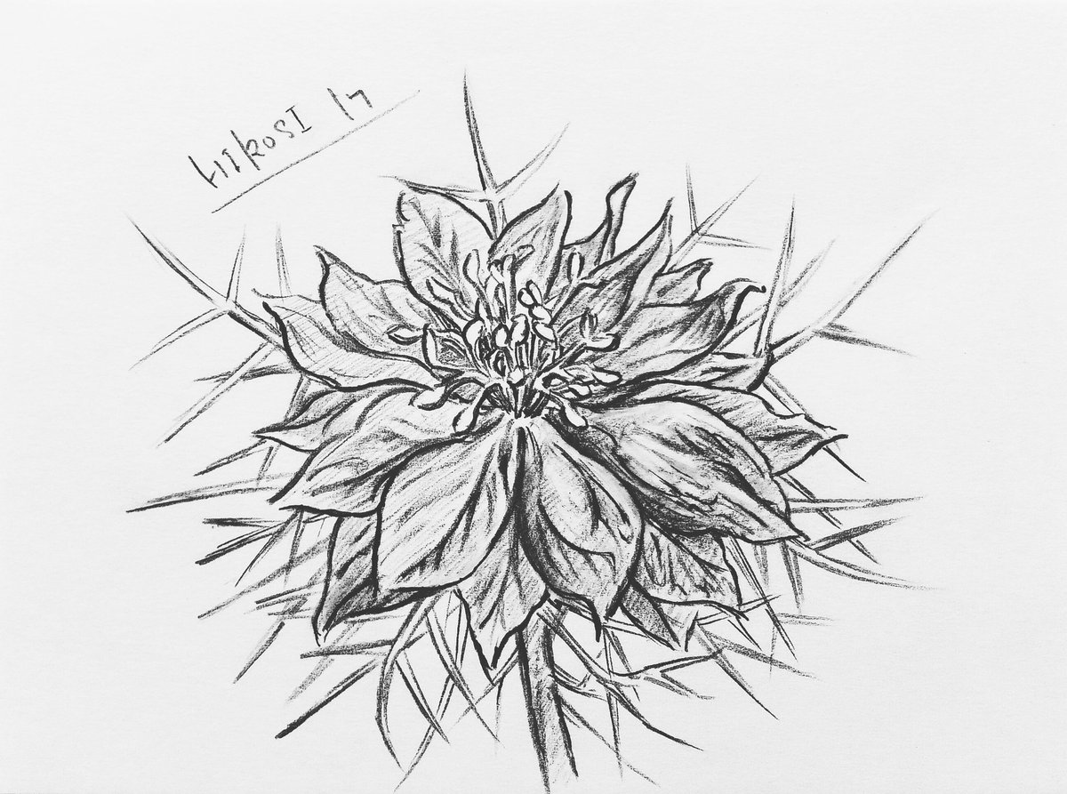 art #Artworks #painter #drawing #dragons #sketch #Penguin #flower