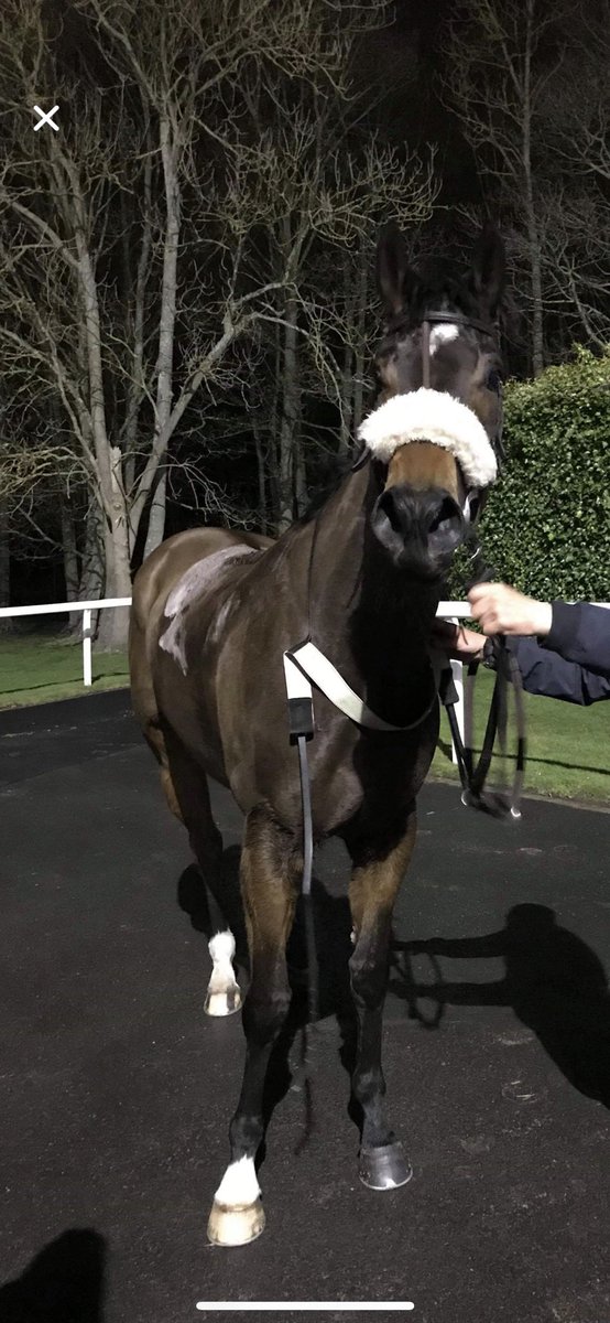 ICMRacing's tweet photo. It was great to see Searanger back out on the track last night! He sure blew the cobwebs off in his season opener!!! Becky has reported he is 100% this morning!! A great night had by all members and we move on to the next one!!! https://t.co/UdaS7ze0wK