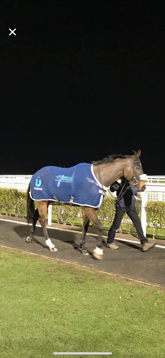 ICMRacing's tweet photo. It was great to see Searanger back out on the track last night! He sure blew the cobwebs off in his season opener!!! Becky has reported he is 100% this morning!! A great night had by all members and we move on to the next one!!! https://t.co/UdaS7ze0wK