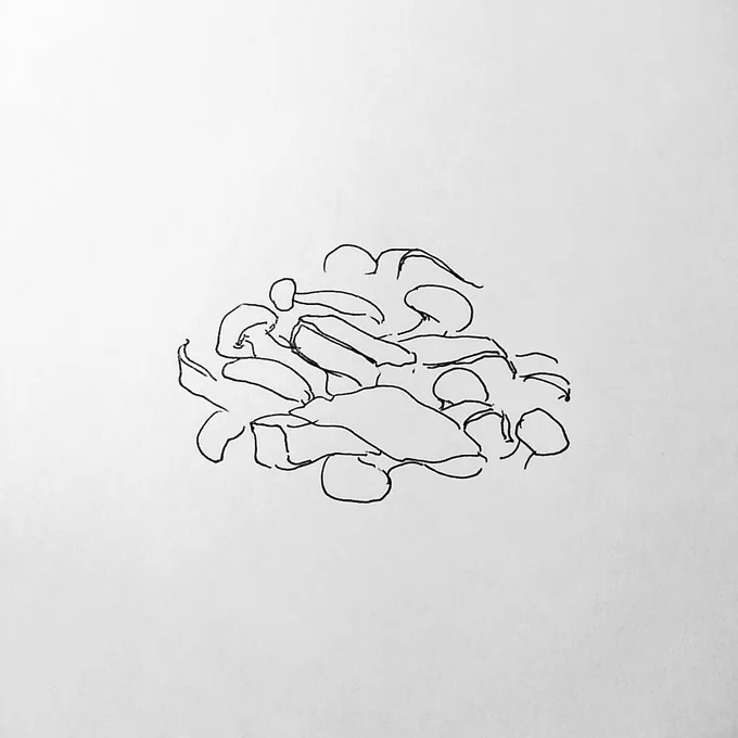 寝る前に何か描きたいと思ってφ(..)
炒り煮、もうすこし美味しそうに描きたかったな。
#絵 #ふゆゆん #ぼさいの 