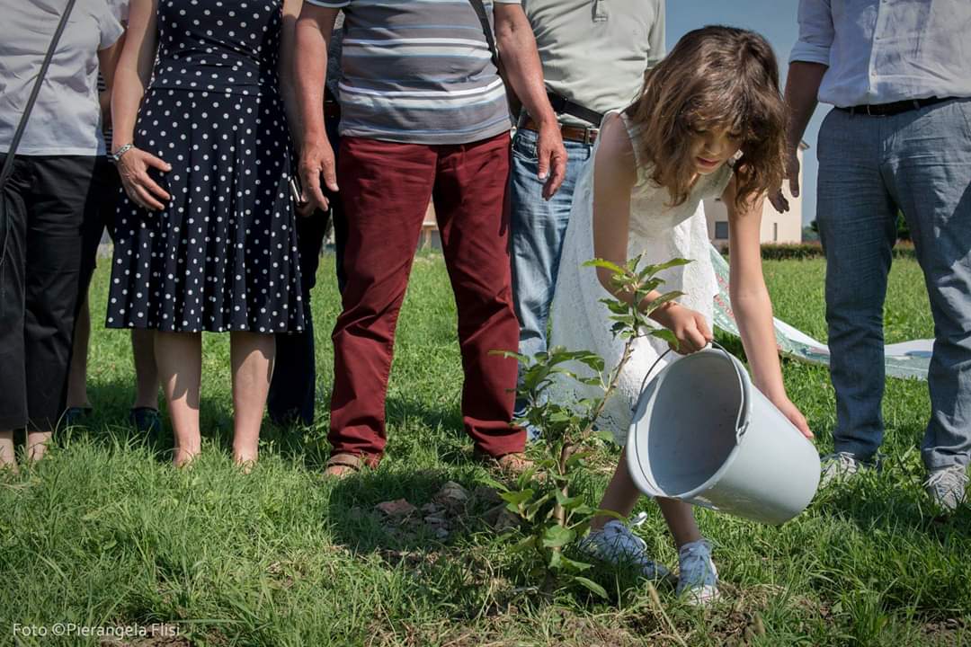 Si terrà il prossimo 7 aprile ore 10 presso l’area verde di Via Milano a Colorno (PR) l’inaugurazione del “Bosco del tempo”, il frutteto di alberi dimenticati voluto dai <a href="/ComuniVirtuosi/">Comuni Virtuosi</a> e dal Comune nell’ambito delle iniziative del #festivalentezza
 bit.ly/2FvTq0l